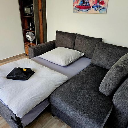 Spatzennest Dresda Cameră foto