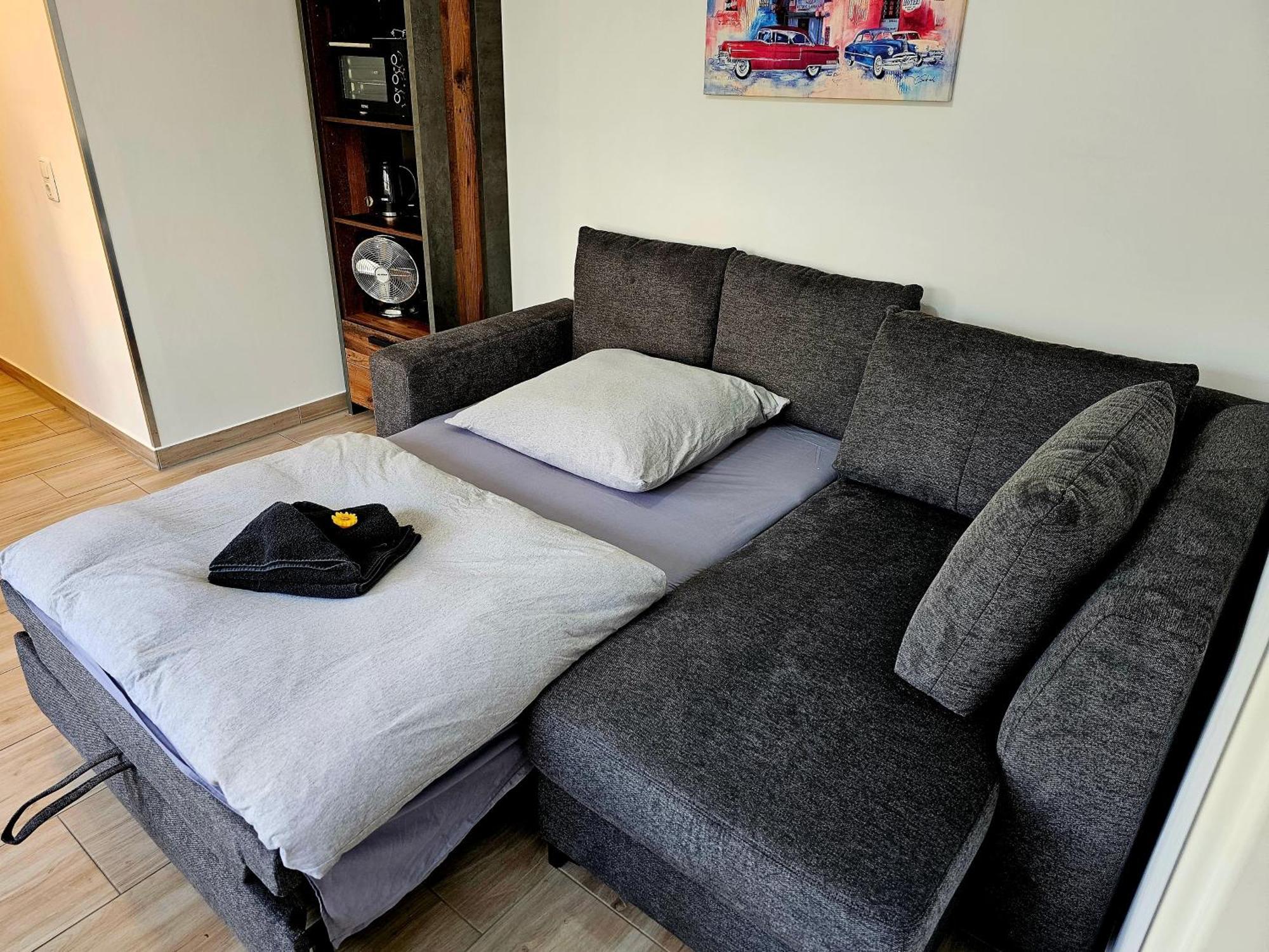 Spatzennest Dresda Cameră foto